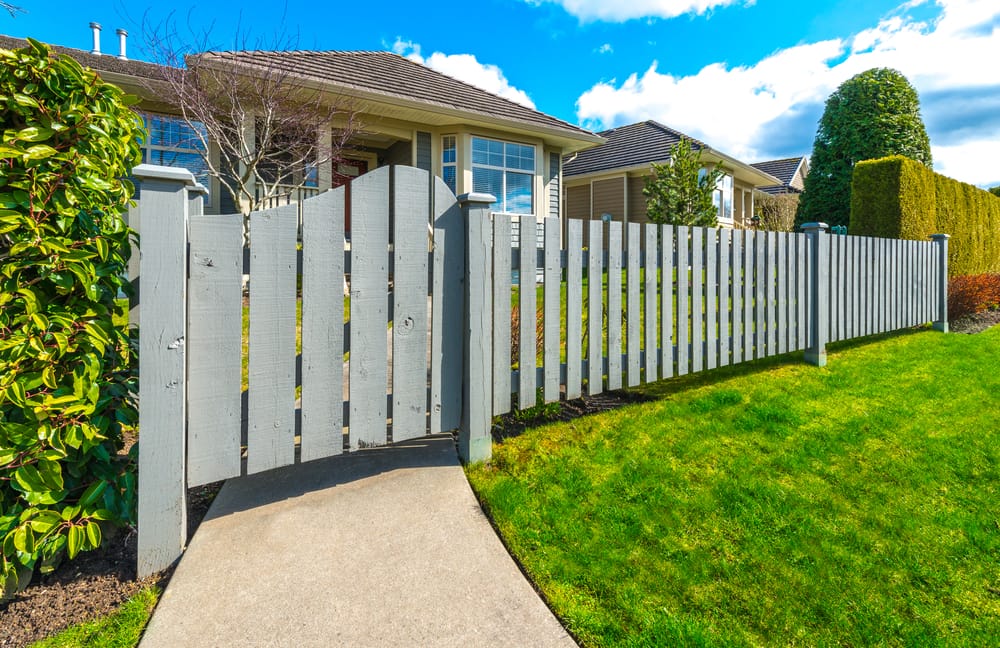 Colorbond vs Timber Fence Cost | Localsearch