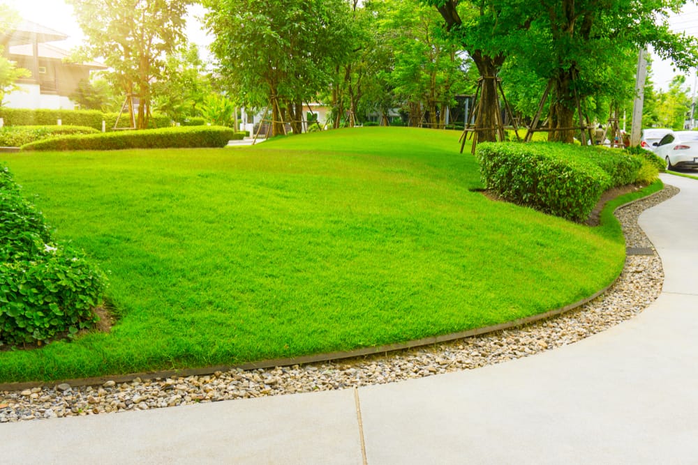 Low maintenance lawn clearance grass